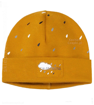 Czapka wiosenna/jesienna dla chłopca, z wywinięciem, Growing, 44-46 cm