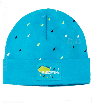 Czapka wiosenna/jesienna dla chłopca, z wywinięciem, Growing, 44-46 cm