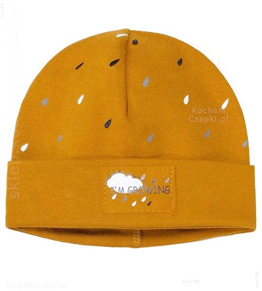 Czapka wiosenna/jesienna dla chłopca, z wywinięciem, Growing, 44-46 cm