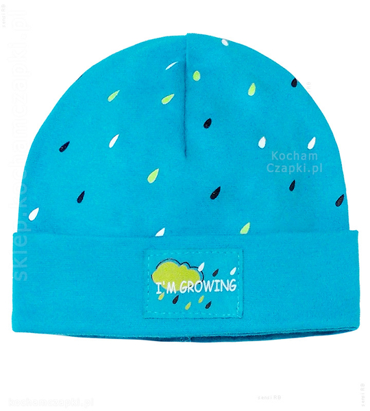 Czapka wiosenna/jesienna dla chłopca, z wywinięciem, Growing, 44-46 cm